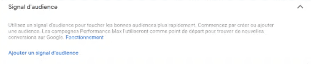signaux d'audience performance max google ads