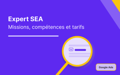 Expert SEA Certifié : missions, compétences et tarifs